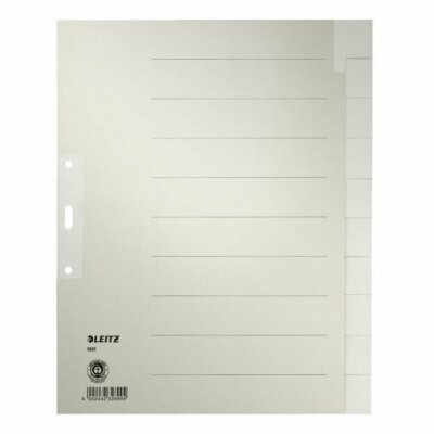 LEITZ 1221 Register - Tauenpapier blanko A4 Überbreite 10 Blatt grau