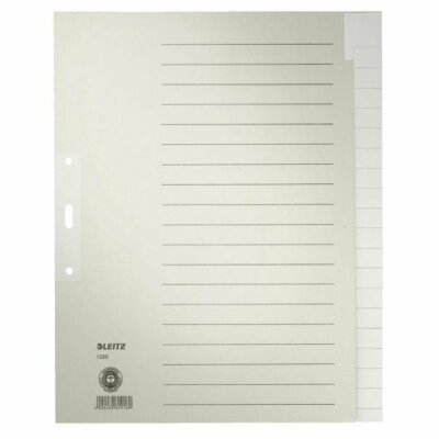 LEITZ 1220 Register - Tauenpapier A4 Überbreite 20 Blatt grau