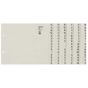 LEITZ Registerserie A4 6BL grau REG.SERIE A4 6TLG. 13060085
