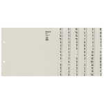 LEITZ Registerserie A4 6BL grau REG.SERIE A4 6TLG. 13060085