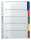 LEITZ 4320 Register blanko Karton A4 5 Blatt Taben 5farbig
