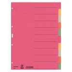 LEITZ 4359 Register Karton blanko A4 10Blatt farbig