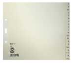 LEITZ Register A4 AZ grau BxH 24x21cm