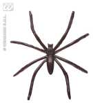 Idena 5382 50 Mini Spinnen, Plastik, schwarz, 15,8 x 13,4 x 3 cm
