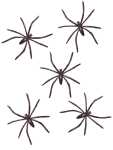 Idena 5382 50 Mini Spinnen, Plastik, schwarz, 15,8 x 13,4 x 3 cm