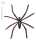 Idena 5382 50 Mini Spinnen, Plastik, schwarz, 15,8 x 13,4 x 3 cm
