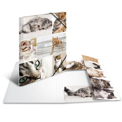 Herma SAMMELMAPPE A4 KARTON ANIMALS KATZEN