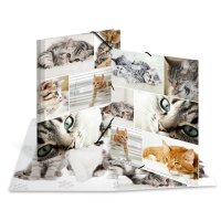 Herma SAMMELMAPPE A4 KARTON ANIMALS KATZEN