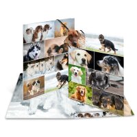 Herma SAMMELMAPPE A3 KARTON ANIMALS HUNDE