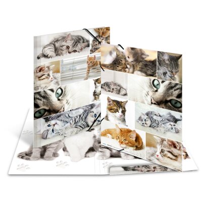 Herma SAMMELMAPPE A3 KARTON ANIMALS KATZEN