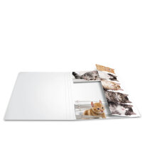 Herma SAMMELMAPPE A3 KARTON ANIMALS KATZEN