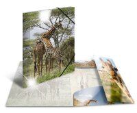 Herma Sammelmappe Eckspanner PP A4 Glossy Giraffe