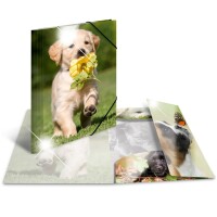 Herma Sammelmappe Eckspanner PP A4 Glossy Hunde