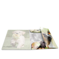 Herma Sammelmappe Eckspanner PP A4 Glossy Hunde