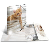 Herma SAMMELMAPPE A4 GLOSSY TIERE KATZEN