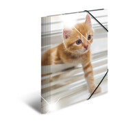 Herma Sammelmappe Eckspanner PP A4 Glossy Katzen