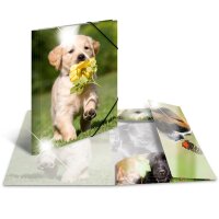 Herma SAMMELMAPPE A3 GLOSSY TIERE HUNDE