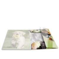 Herma SAMMELMAPPE A3 GLOSSY TIERE HUNDE