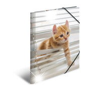 Herma Sammelmappe Eckspanner PP A3 Glossy Katzen