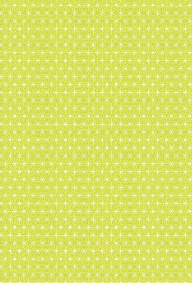 HEYDA 204771764 Motivkarton Starlight 50 x 70 cm lime