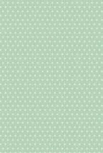 HEYDA Motivkarton Starlight A4 (21 x 31 cm inkl. Codierleiste) mint