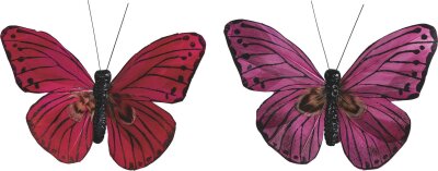 KNORR PRANDELL 218030908 Schmetterling 7 x 9 cm rot fuchsia