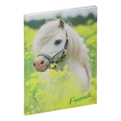 Pagna Freundebuch kleines Pony 60S