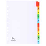 Exacompta Register A4 Karton 10tlg bedrfarbig