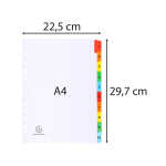 Exacompta Register A4 Karton 10tlg bedrfarbig