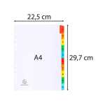 Register A4 Karton 10tlg bedrfarbig