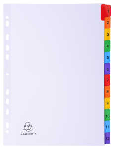 Regist12T A4 mani+ bedrfarbigTab