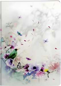 Clairefontaine CC4 Heft A5 48Bl liniert st