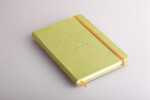 Rhodia Book Rhodiarama A5 96Bl liniert anis