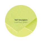 Clairefontaine D-karte Pollen 110x110 knospgrün