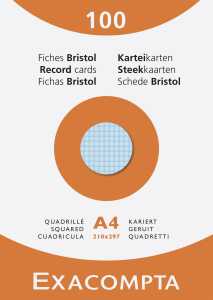 Karteikarten A4 kariert sortiert