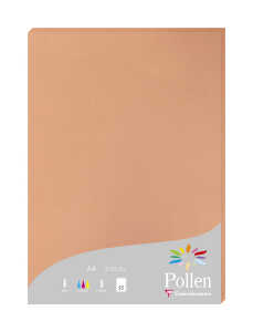 Clairefontaine Papier A4 Pollen 160g 50Bl nektar