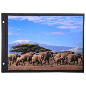 Exacompta Einlagen Album 22x31,5 10Bl schwarz