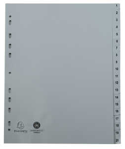 RegistA4 Tlg1-20 PP ws+Registerseit