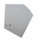 RegistA4 Tlg1-20 PP ws+Registerseit