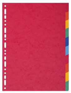 Registr Recycling-Karton A4+ 10-tlg