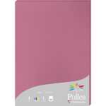 Clairefontaine Papier A4 Pollen 210g hortensien 25Bl