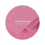 Clairefontaine Papier A4 Pollen 210g hortensien 25Bl