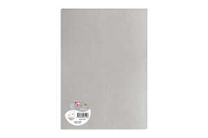 Clairefontaine 5 Bogen Pollen A4 silber 120g