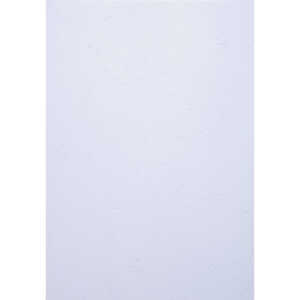 Exacompta Karton Forever weiss A4 270G 25Bl