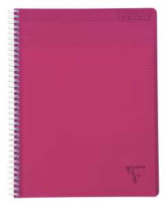 Clairefontaine Linicolor Meeting Book A4+ 80bl rt