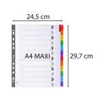 Regist12T A4+ mani/bedrfarbigTab