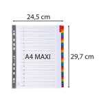 Regist31T A4+ mani/bedrfarbigTab