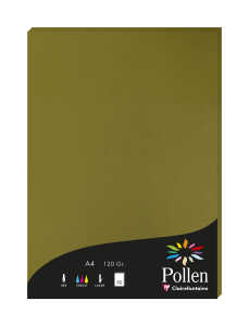 Clairefontaine Papier A4 Pollen 120g alge 50Bl