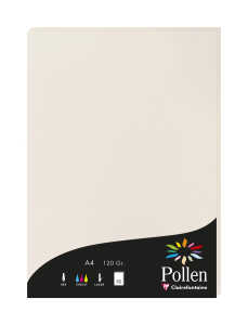 Clairefontaine Papier A4 Pollen 120g hellgrau 50Bl