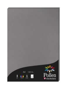 Clairefontaine Papier A4 Pollen 120g dunkelgrau 50Bl